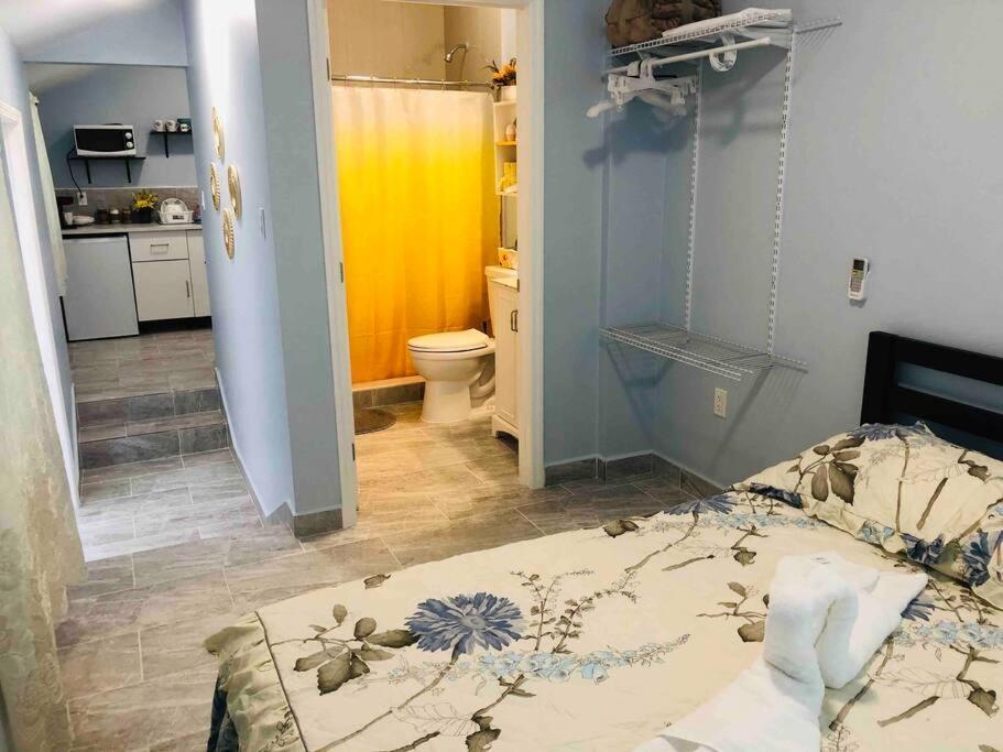 New Luxurious Studio Private In The Heart Of 마이애미 외부 사진